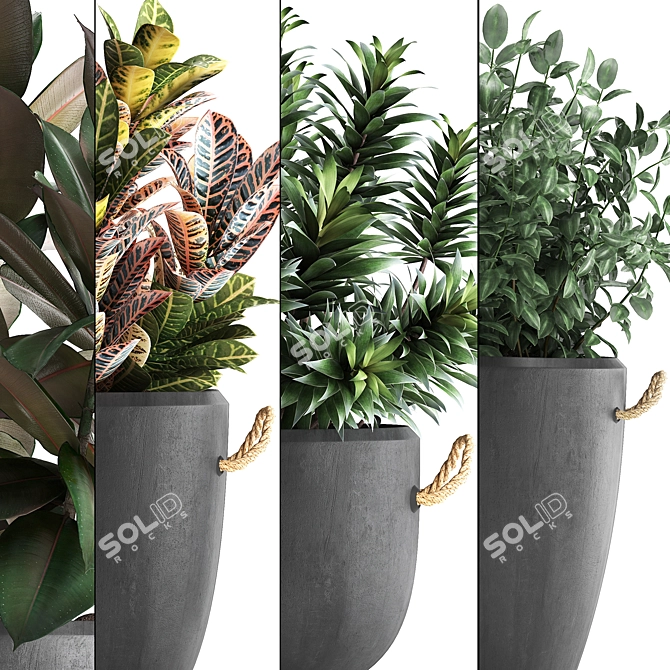 Exotic Houseplant Collection 3D model image 2