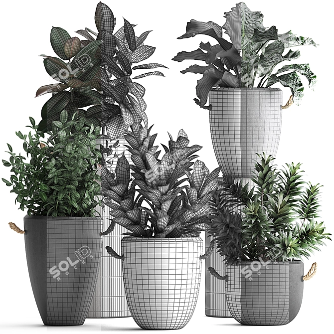 Exotic Houseplant Collection 3D model image 3