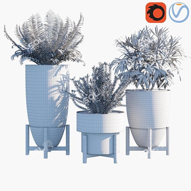 Trio of Greenery: Rhapis Excelsa, Sword Fern, Woolly Grevillea 3D model image 2