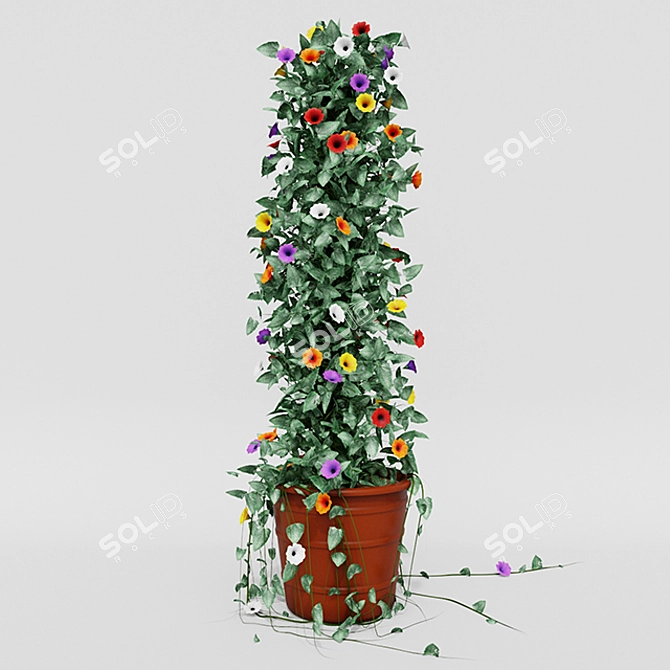 Tall and Colorful Thunbergia Ivy in Pot 3D model image 2