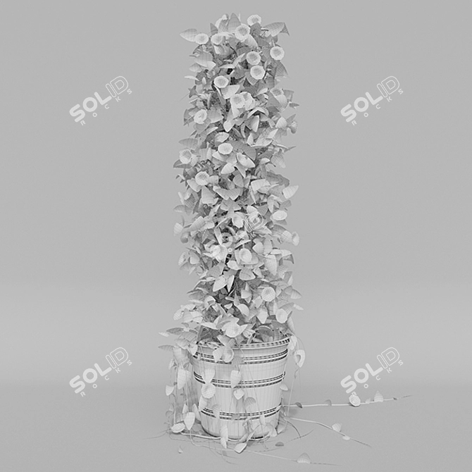 Tall and Colorful Thunbergia Ivy in Pot 3D model image 3