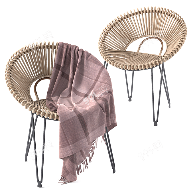 Elegant Rattan Chair 3D model image 1