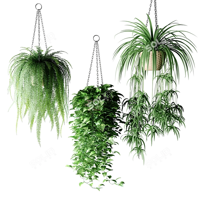Natural Charm: Hanging Wicker Planter with Lush Plants 3D model image 2