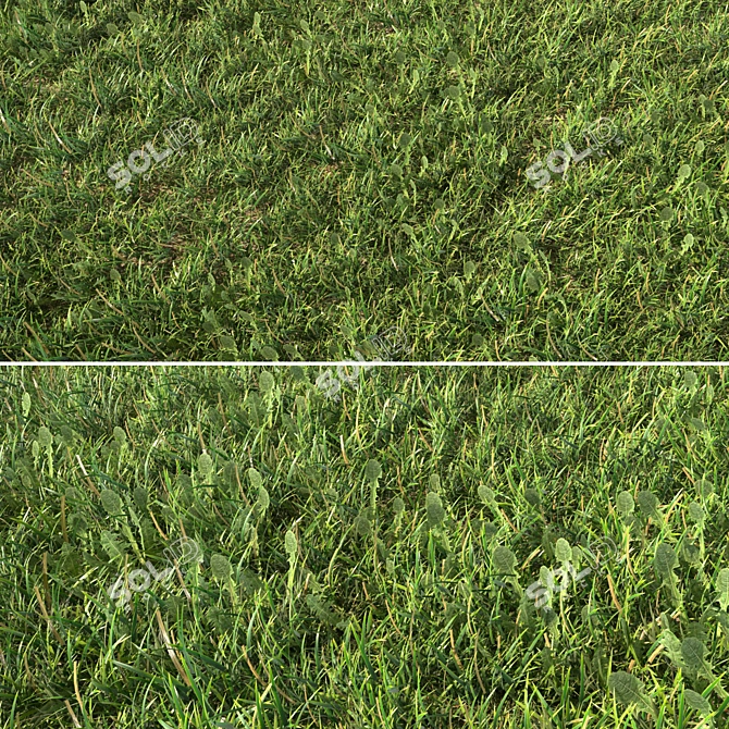 Grass Landscaping Geometry Spline 3D model image 1