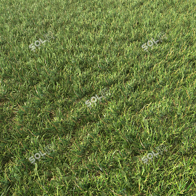 Grass Landscaping Geometry Spline 3D model image 2