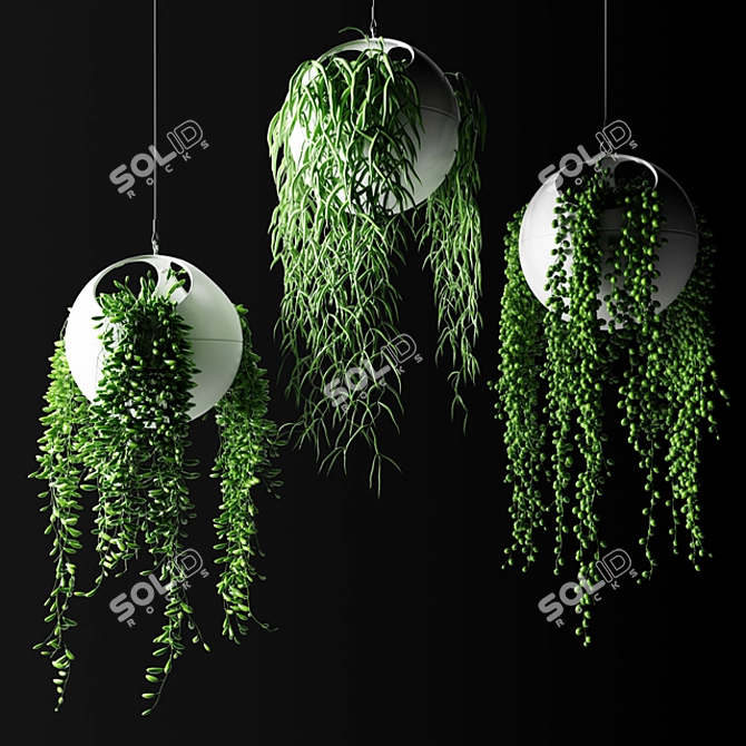  Stylish Hanging Plants in Spherical Planters 3D model image 1