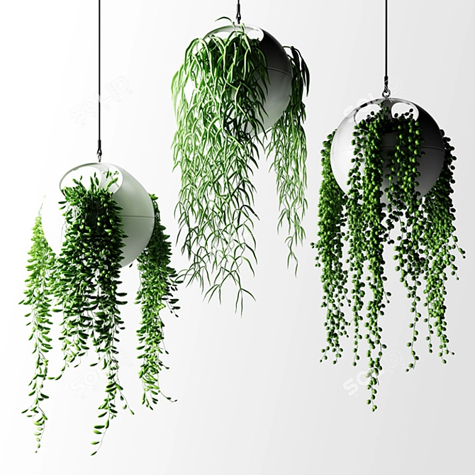  Stylish Hanging Plants in Spherical Planters 3D model image 2