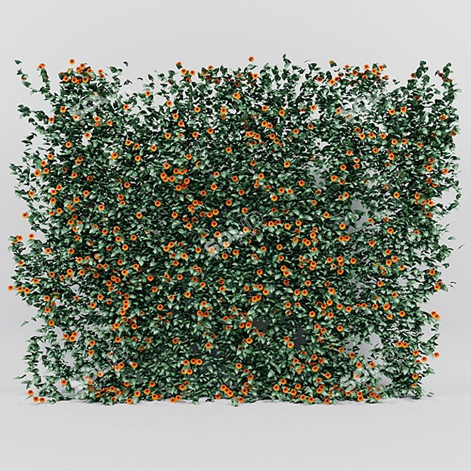 Lush Thunbergia Alata Ivy: Detailed, Colorful 3D Model 3D model image 1