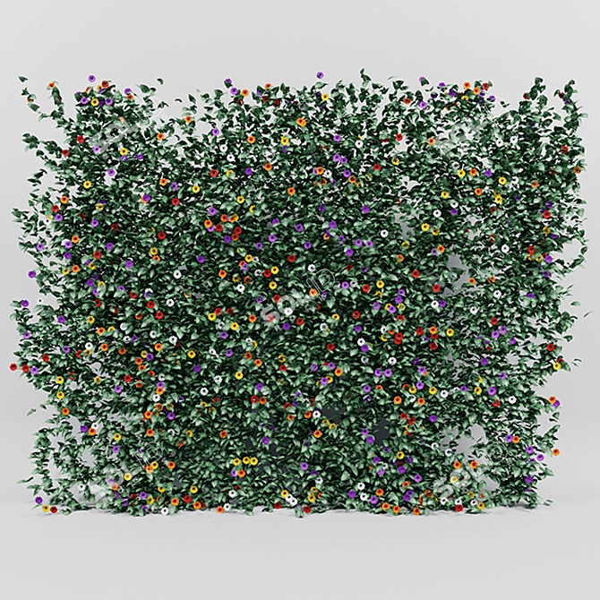 Lush Thunbergia Alata Ivy: Detailed, Colorful 3D Model 3D model image 2