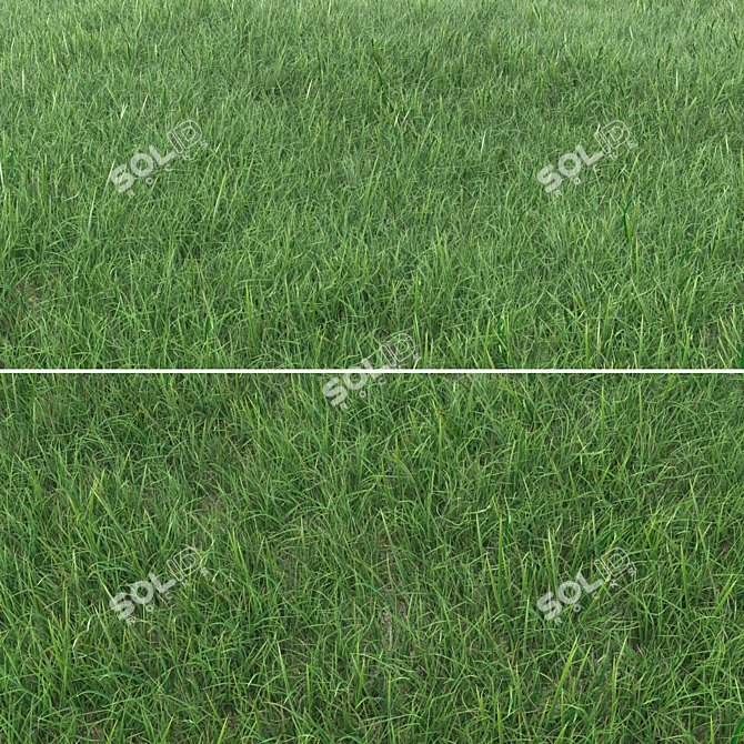 Realistic Grass Landscaping Model 3D model image 1