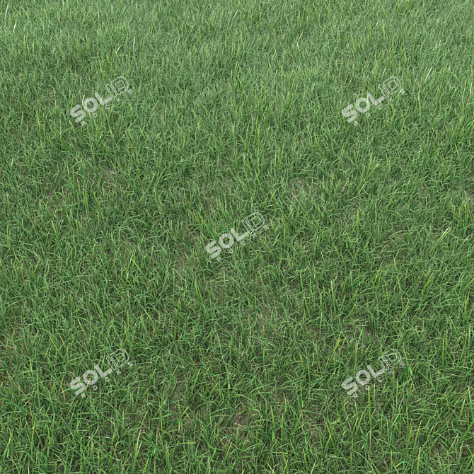 Realistic Grass Landscaping Model 3D model image 2