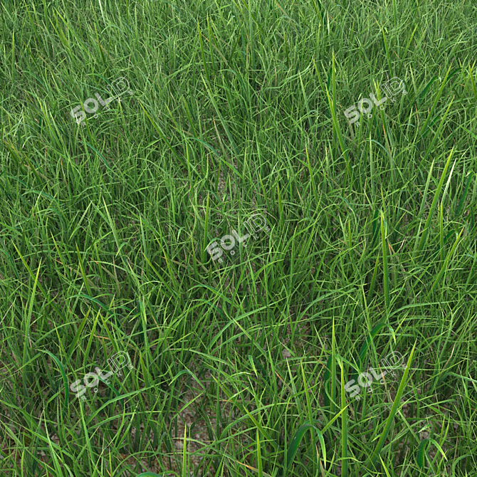 Realistic Grass Landscaping Model 3D model image 3