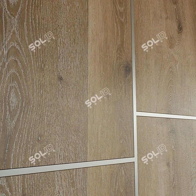 Wooden 3D Wall Panel with Metal Moldings 3D model image 2