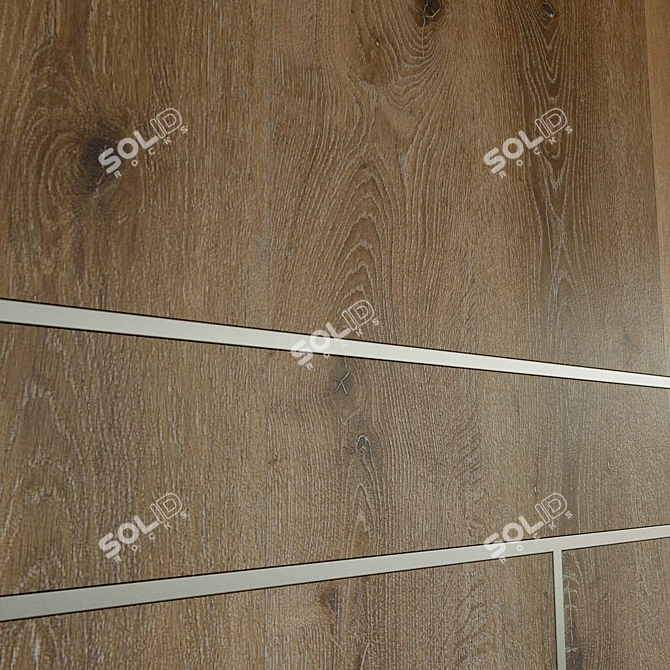 Wooden 3D Wall Panel with Metal Moldings 3D model image 3