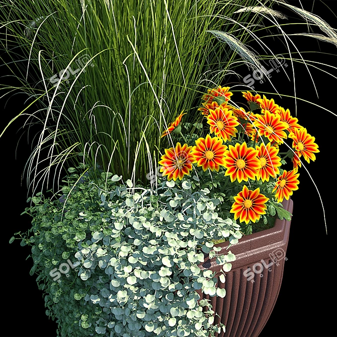Container Garden Set with 5 Varieties of Plants 3D model image 2