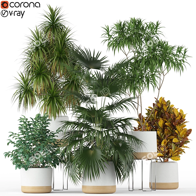 Exquisite Botanical Collection 203 3D model image 1