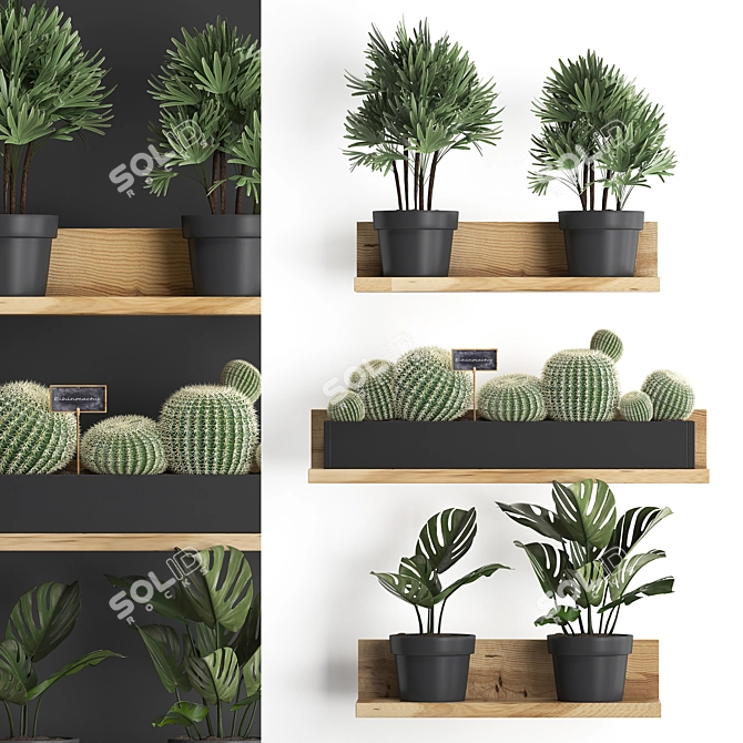 Exotic Vertical Garden Kit 3D model image 1