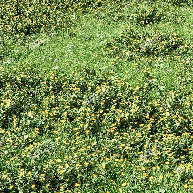  Realistic Wedelia Chinensis 3D Model 3D model image 2