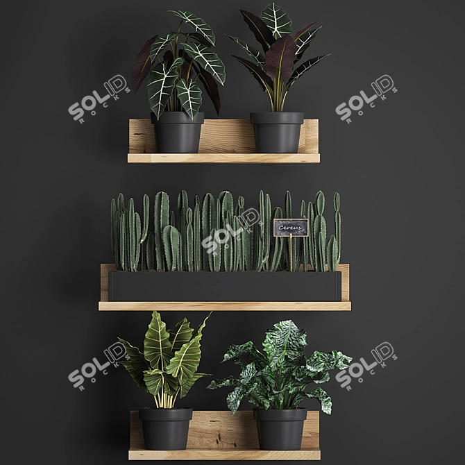 Exotic Plant Collection 3D model image 2