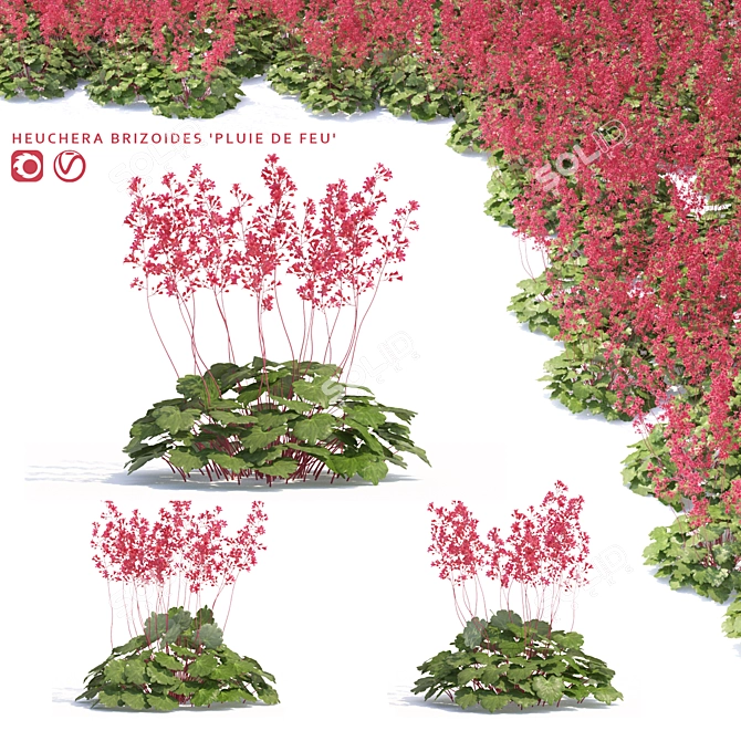 Fiery Rain Heucherella | Stunning Red Foliage 3D model image 1