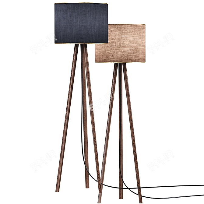 Contemporary Wooden Floor Lamp [3dsmax 2011 & OBJ Included] 3D model image 2