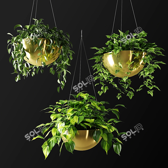 Gilded Ampel Plants: Stunning Home Decor 3D model image 1