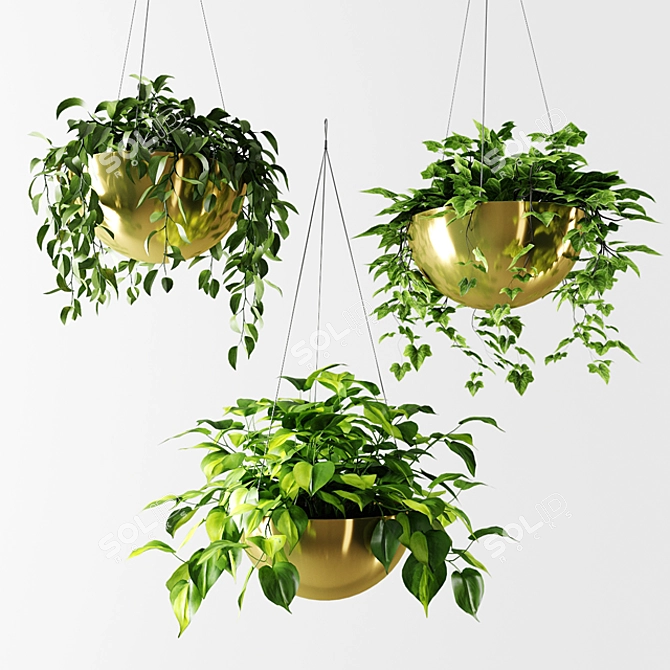 Gilded Ampel Plants: Stunning Home Decor 3D model image 2
