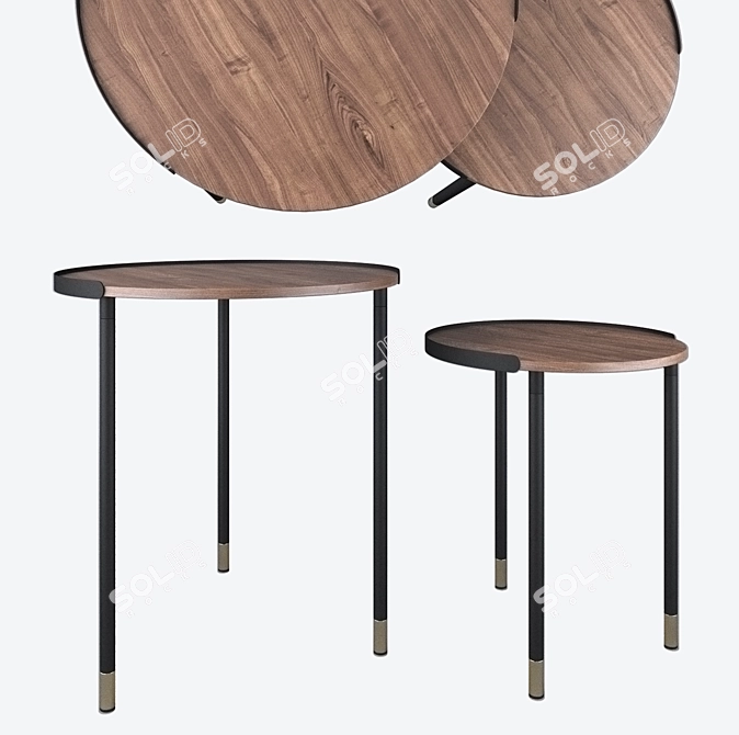 Modern Set of 2 ALINER CC0756M46 Tables 3D model image 1