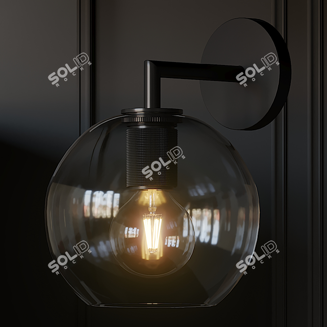 Sophisticated Globe Shade Sconce - 3 Material Options 3D model image 2