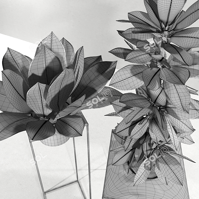 Tropical Vibes: Croton Plants Set 3D model image 3