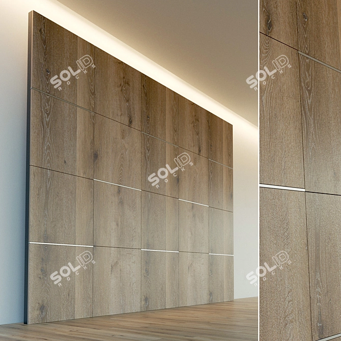 Wooden 3D Wall Panel with Metal Moldings 3D model image 1