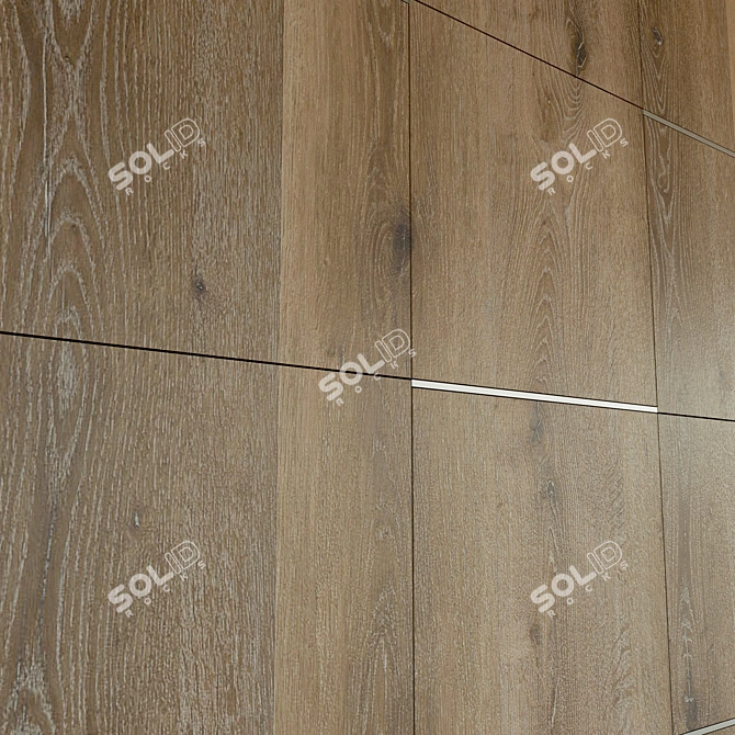 Wooden 3D Wall Panel with Metal Moldings 3D model image 3