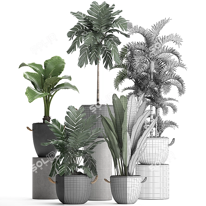 Exotic Plant Collection 3D model image 3