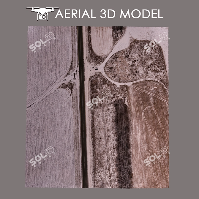 Aerial Topography Scan: Detailed 3D Model 3D model image 3