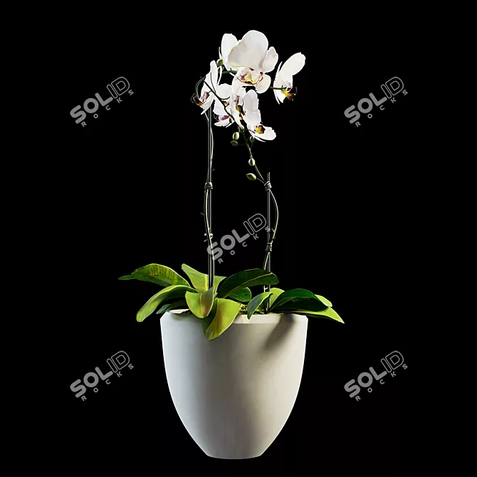 Elegant Flower Bouquet 3D model image 1