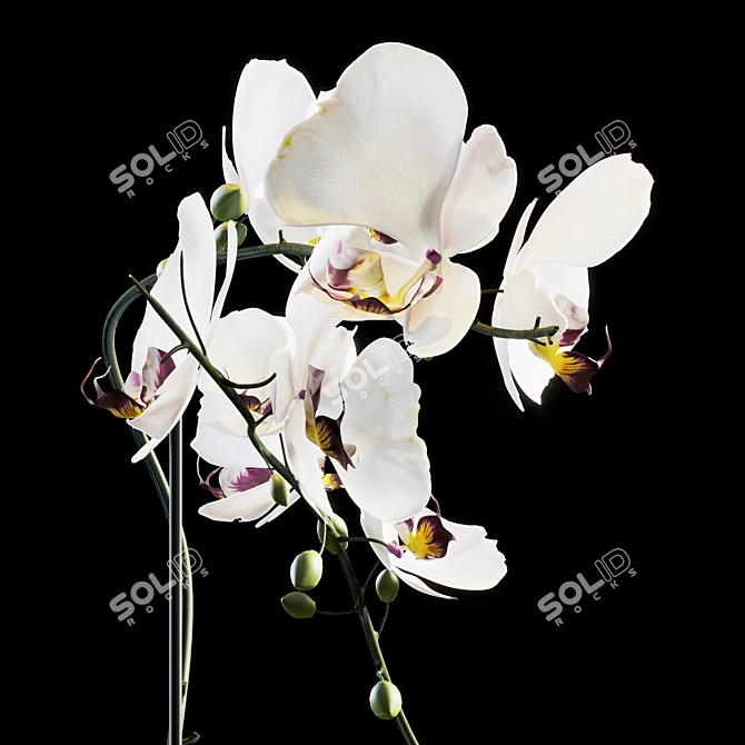 Elegant Flower Bouquet 3D model image 6