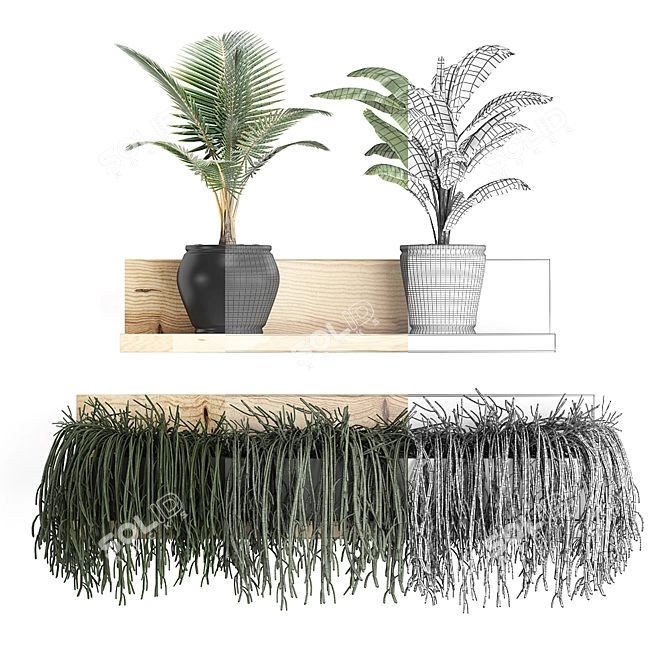 Exotic Plant Collection: Banana & Coconut Palm 3D model image 3