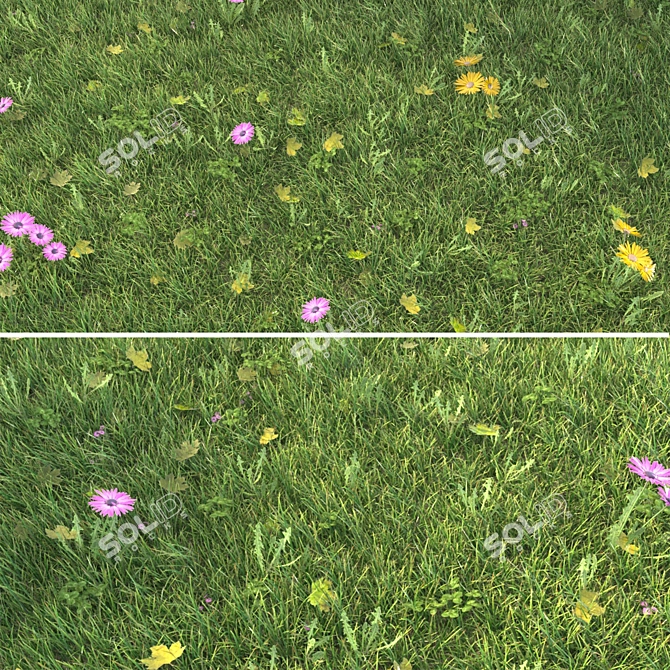 Realistic Grass Landscaping Model 3D model image 3