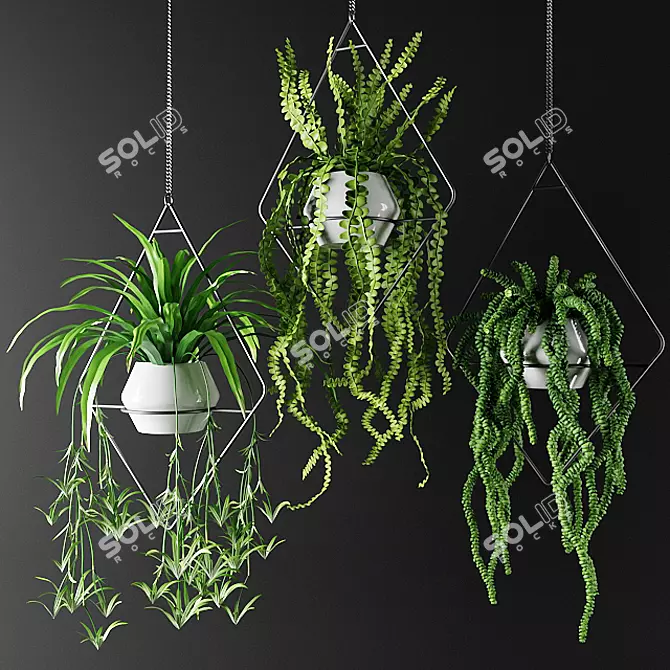 Diamond Hanging Flowerpot Plants | Luxe Greenery 3D model image 1