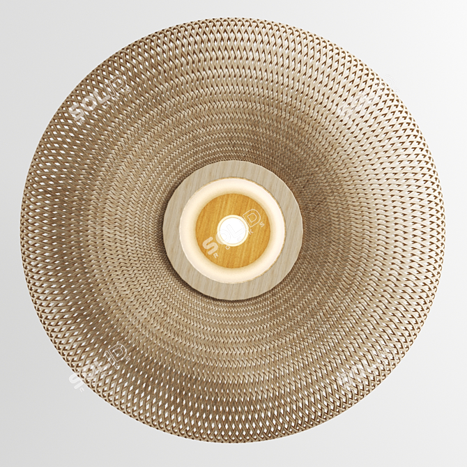 Ay Illuminate Bamboo Ceiling Lamp 3D model image 3
