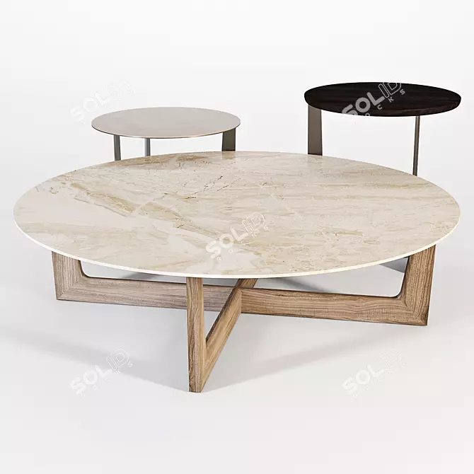 Poltrona Frau Ilary Coffee Tables 3D model image 1