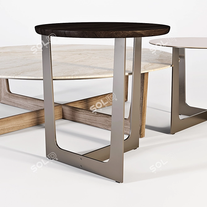 Poltrona Frau Ilary Coffee Tables 3D model image 2