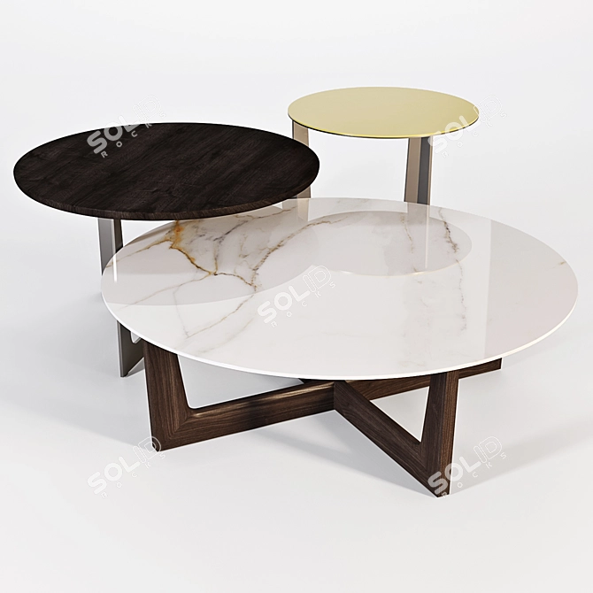 Poltrona Frau Ilary Coffee Tables 3D model image 1