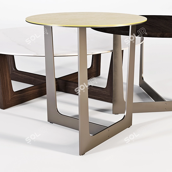 Poltrona Frau Ilary Coffee Tables 3D model image 2