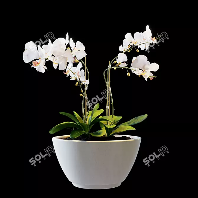 Blooming Beauty Bouquet 3D model image 1