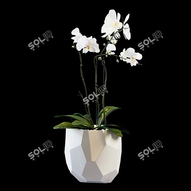 Elegant Floral Arrangement 3D model image 1