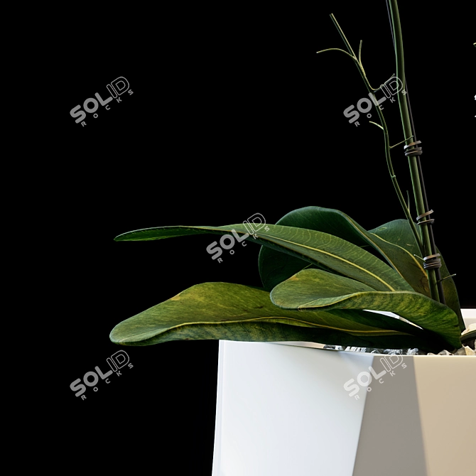 Elegant Floral Arrangement 3D model image 4