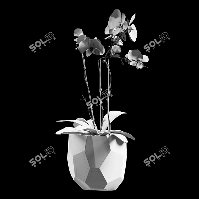 Elegant Floral Arrangement 3D model image 7