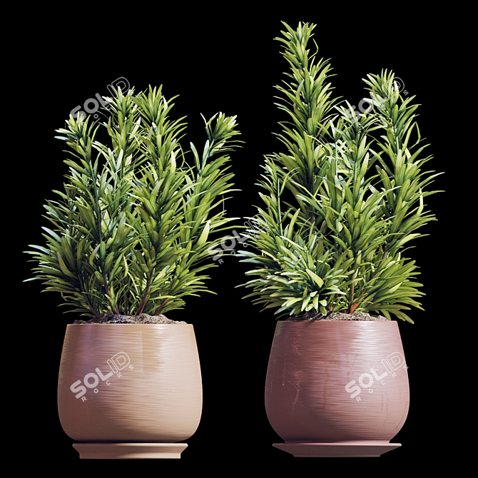 Rosemary Plant Set 3D model image 1