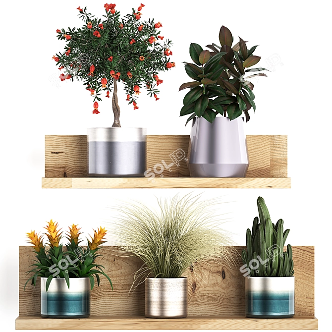 Exotic Indoor Plant Collection 3D model image 1